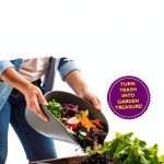 Beginner Gardening eBook Amazon Kindle Guide-0