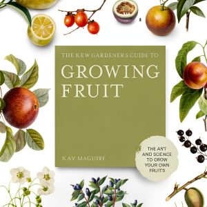 Temperate Climate Gardening eBook Frances Lincoln-0