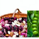 Amazon Kindle Temperate Gardening eBook 56 Pages-0