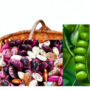 Amazon Kindle Temperate Gardening eBook 56 Pages-0