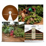 No Dig Gardening Techniques eBook by Deanburn Publications-0